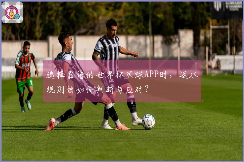 选择靠谱的世界杯买球APP时,返水规则该如何判断与应对?