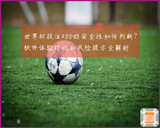 世界杯投注app的安全性如何判断？软件体验对比和风险提示全解析