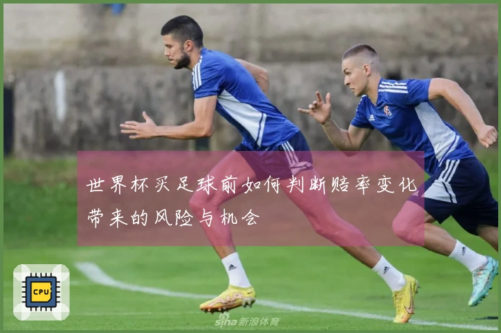 世界杯买足球前如何判断赔率变化带来的风险与机会